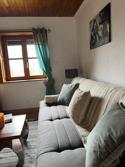 Maison Ray Sur Saone Ray-sur-Saone ภายนอก รูปภาพ